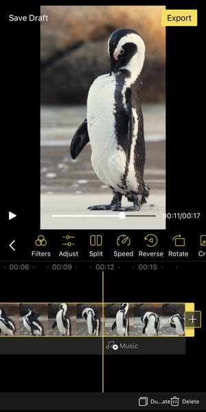 How to change speed of video on iPhone with BeeCut