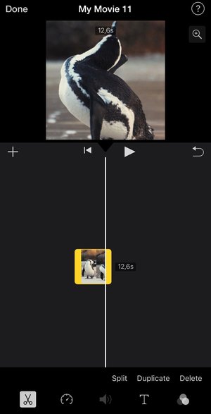 How to make a video shorter on iPhone in iMovie