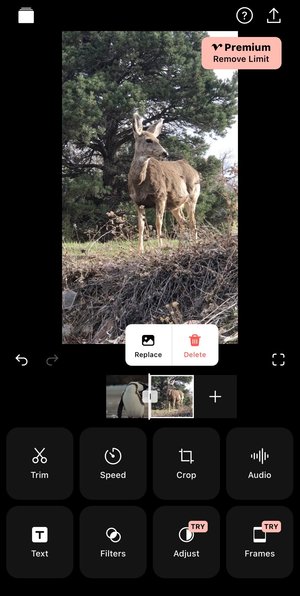 How to merge videos on iPhone with Vixer