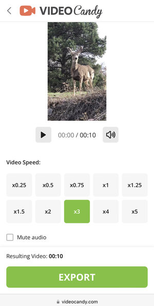 Speed up video online with Video Candy