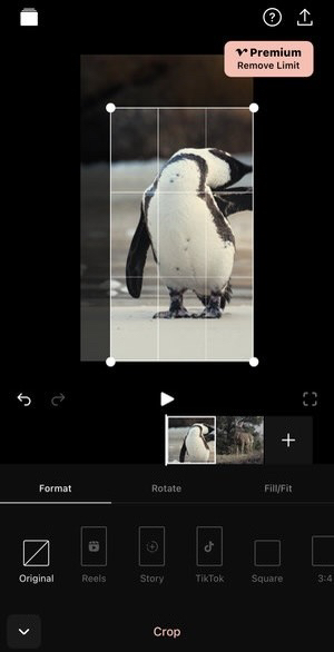 Vixer video cropping app for iPhone