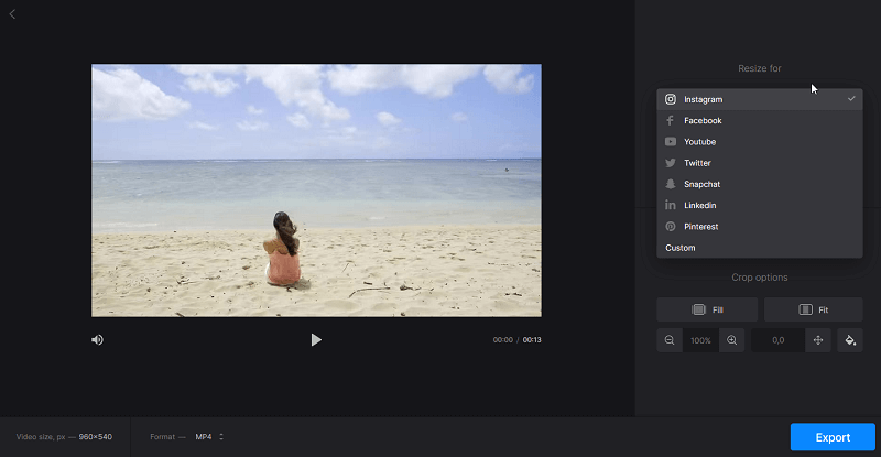 Video resizer presets