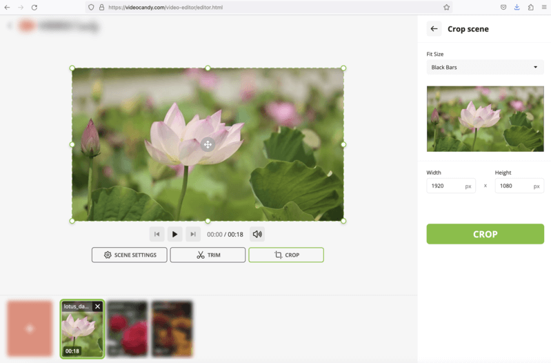 Edit videos online - crop